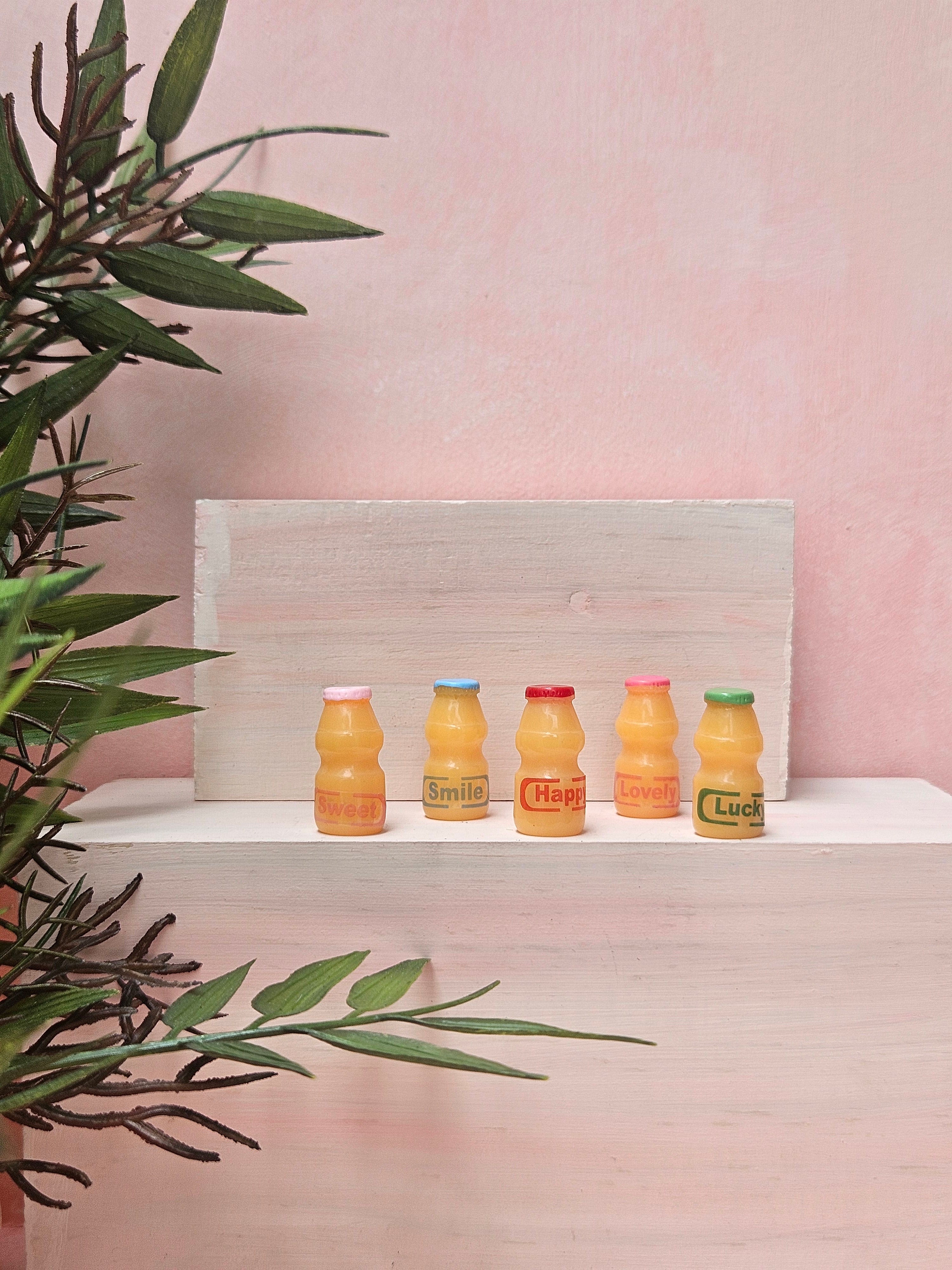 "Handmade miniature Yakult bottle dollhouse collectible India"