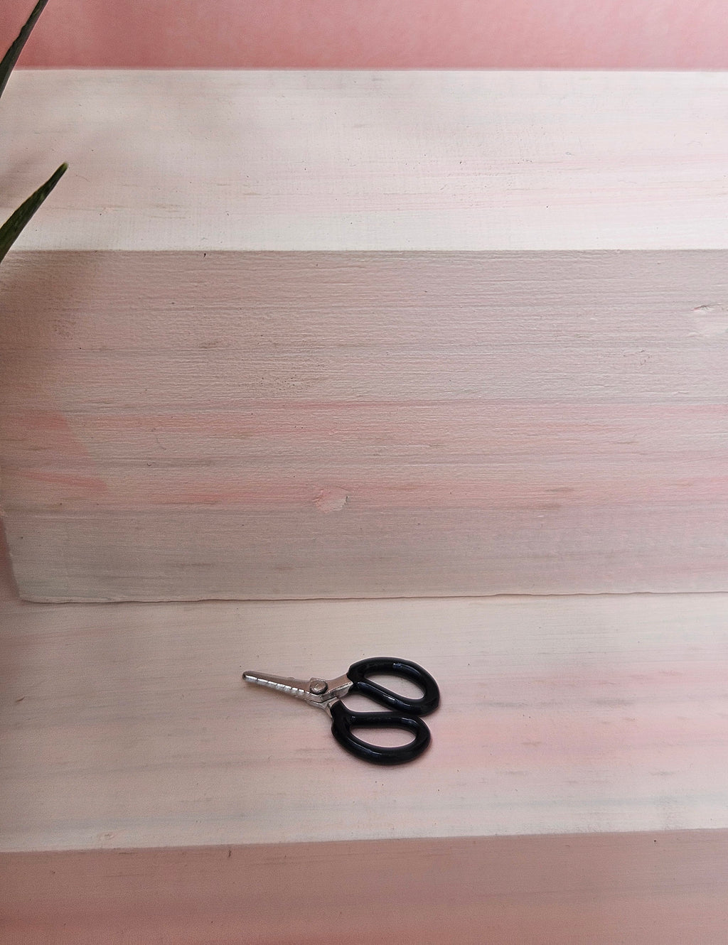 Scissor - 10